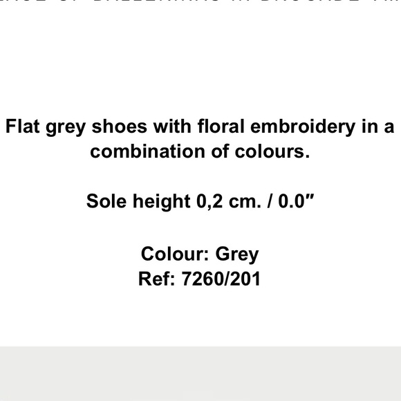 Zara Ballerina Flats - Picture 7 of 7